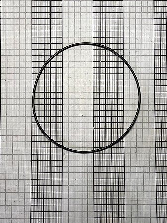 ANEL VEDAÇÃO -MS28775-261