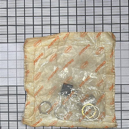 LUZ INDICADORA - 184-9830-5373-604