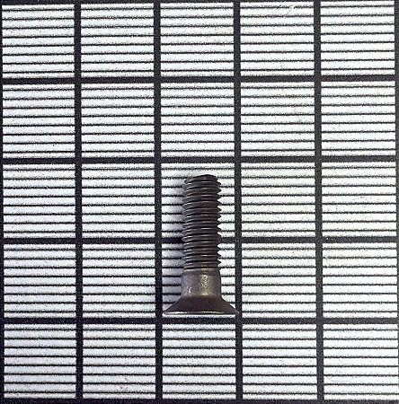 PARAFUSO ESCAREADO PHILLIPS 3/16" - NAS560-3