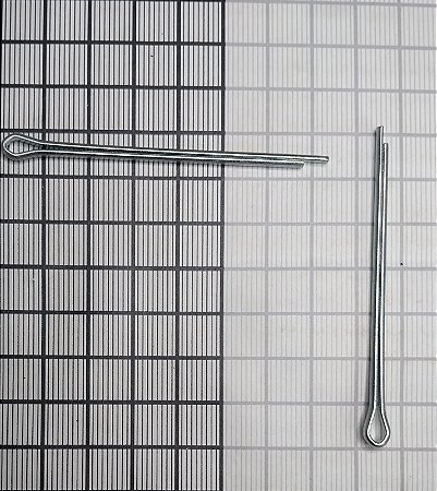 PINO COTLER  - MS24665-361