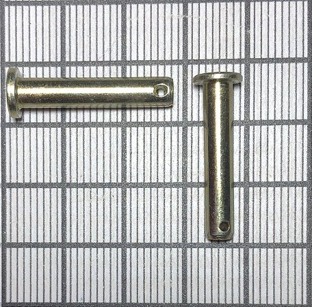 PINO LISO - SP4Y-B13