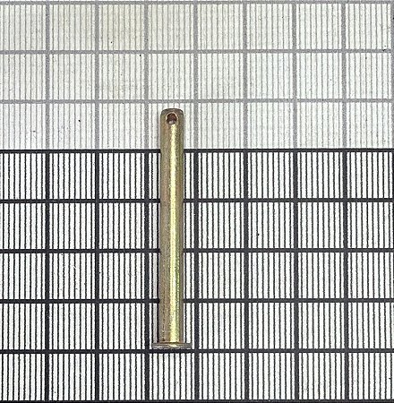 PINO  - 362039253