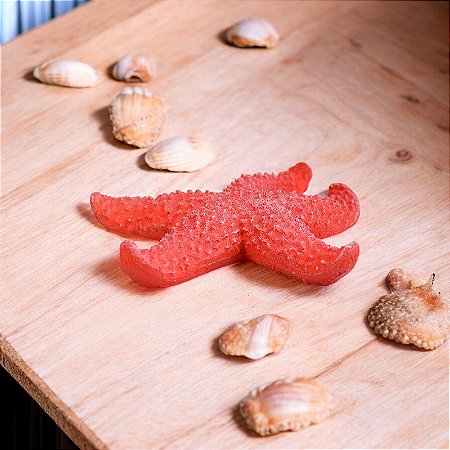 Enfeite Estrela do Mar Vermelho Pequeno XC-96 B