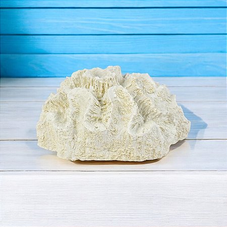 Enfeite Coral Branco XG-96