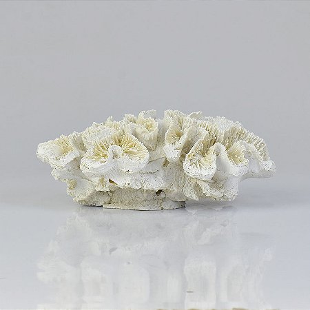 Enfeite Coral Branco 18 cm YU-56 A