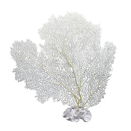 Coral Branco Base de Coral XO-98B