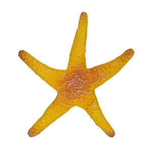 Enfeite Estrela Do Mar Amarela  XN-65