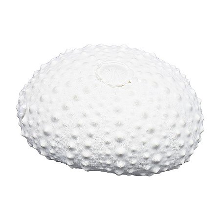 Ouriço Do Mar TM-78