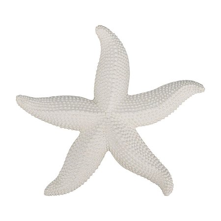 Estrela Do Mar Com Textura Resina TM-83