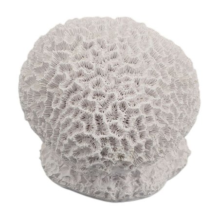 Bola De Coral Cerebro Resina TM-85