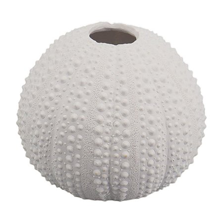 Vaso De Coral Com Textura Médio