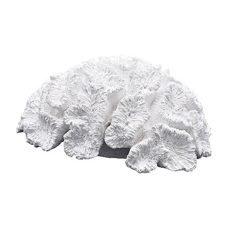 Enfeite Coral De Cerebro Resina TM-90