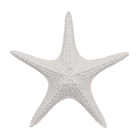 Enfeite Estrela Do Mar Com Textura TM-93