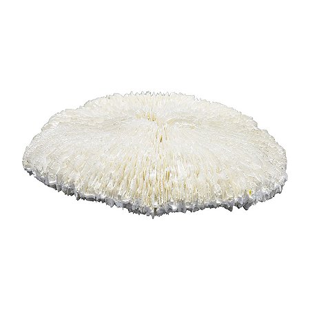 Enfeite Coral Redondo De Parede TM-94