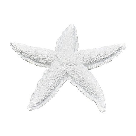 Estrela Do Mar Pontas Curvas Textura TM-95