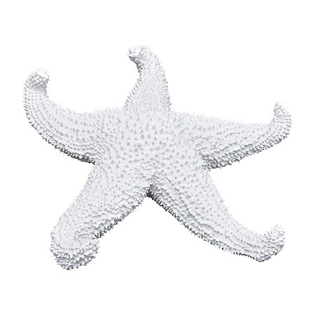 Estrela Do Mar Pontas Curvadas TM-96