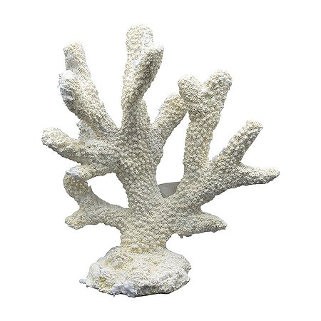 Enfeite Coral Moderno Em Resina TN-01