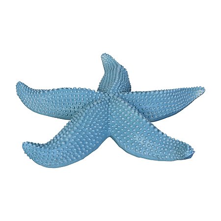 Estrela Do Mar Com Textura Azul TM-83B