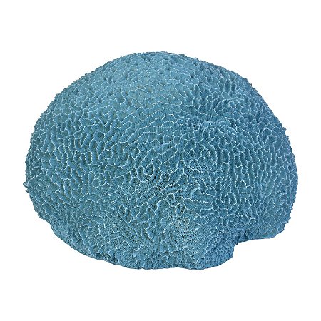 Coral Cerebro Em Resina Azul TM-74B