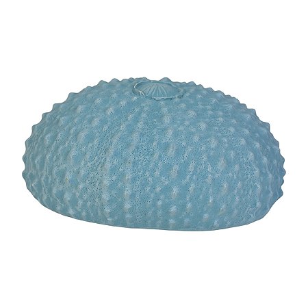 Coral Ouriço Do Mar Azul TM-78B