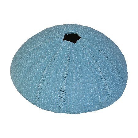 Bola Com Furo De Resina Azul TM-80B