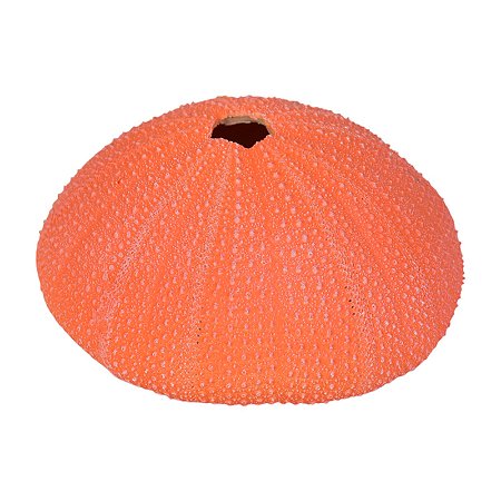 Bola Com Furo De Resina Vermelho TM-80C