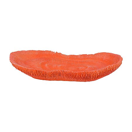 Porta Objeto De Coral Vermelho TM-81C