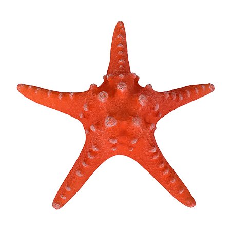 Estrela Do Mar Branco Braço Fino Vermelho TM-82C