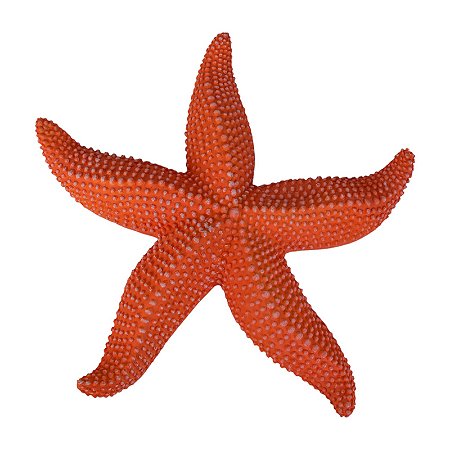 Estrela Do Mar Com Textura Vermelho 1 TM-83C