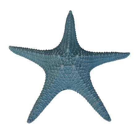 Estrela Do Mar Com Textura Azul TM-93B