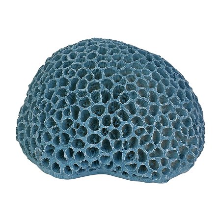 Coral Em Resina Cerebro 16X13 Azul 1 TN-03B