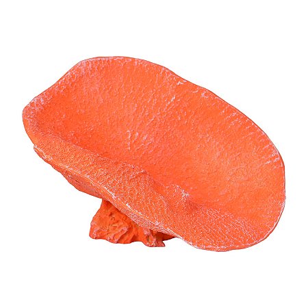 Porta Objetos De Coral Pequeno Vermelho TN-08C