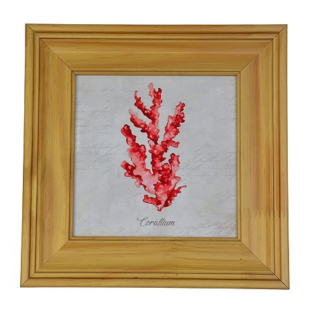Quadro Coral Vermelho XP-92B