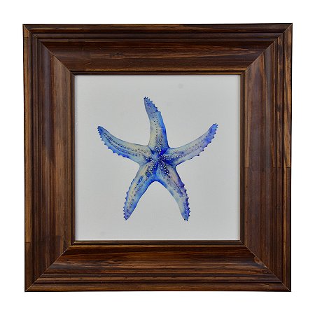 Quadro Estrela Azul XQ-06C