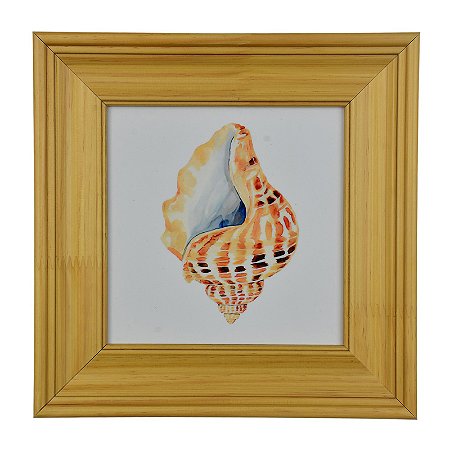 Quadro Concha Bege XQ-07D