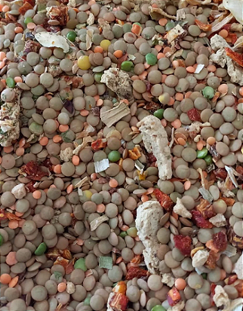Lentilhada Vegetariana - 500 gr