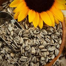 Semente de Girassol - 200 gr