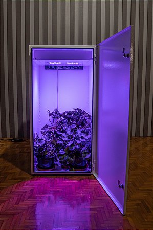 Growbox Wi-Fi BIG