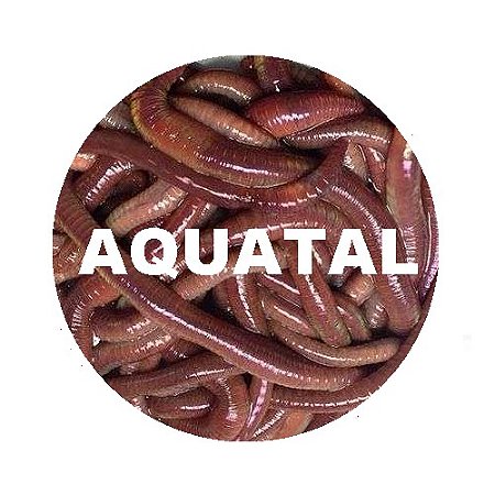 Farinha de Minhoca 1kg ( Suplementação Animal )