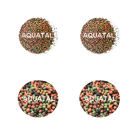 ALIMENTO RAÇÃO DE FUNDO PARA PEIXES CICLIDEOS E COBITÍDEOS MX3GN 500G
