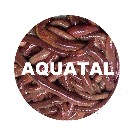 Farinha de Minhoca 10kg ( Suplementação Animal )