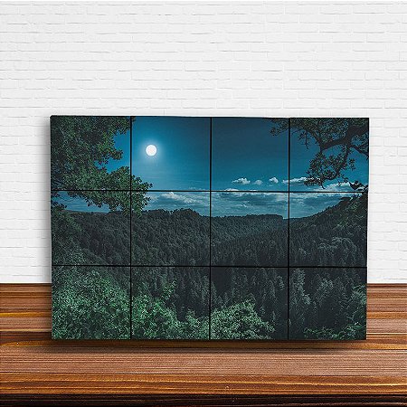 Painel Decorativo Lua Cheia Natureza