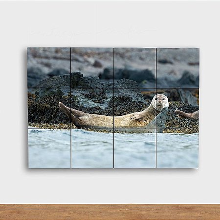 Painel Decorativo Foca