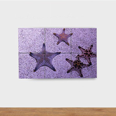 Painel Decorativo Estrelas do Mar