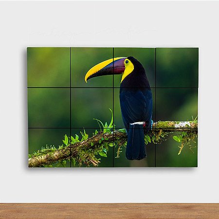 Painel Decorativo Tucano Bico Amarelo e Vermelho