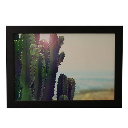 Quadro Decorativo Paisagem Cacto