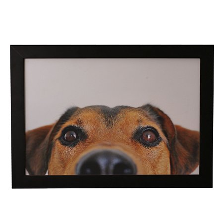 Quadro Decorativo Cachorro Olhando