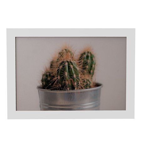 Quadro Decorativo Cactus