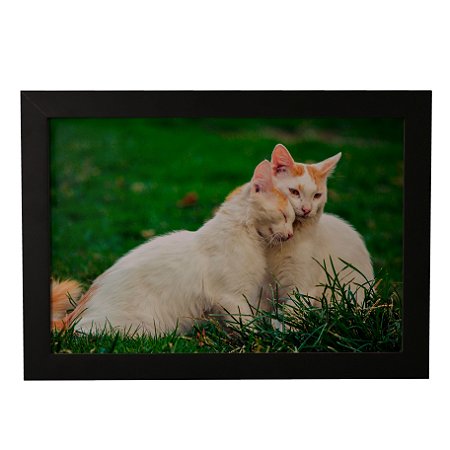 Quadro Decorativo Dois Gatinhos