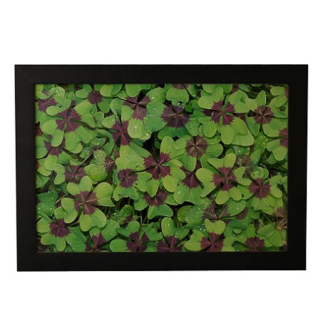 Quadro Decorativo Trevo de 4 Folhas